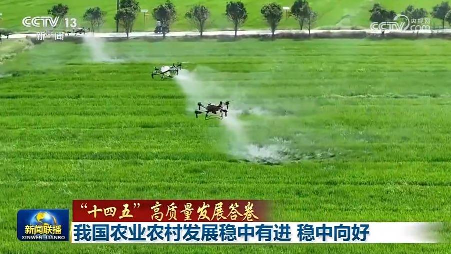[視頻]【“十四五”高質量發展答卷】我國農業農村發展穩中有進_穩中向好_2025-09-16_19_22_40.jpg