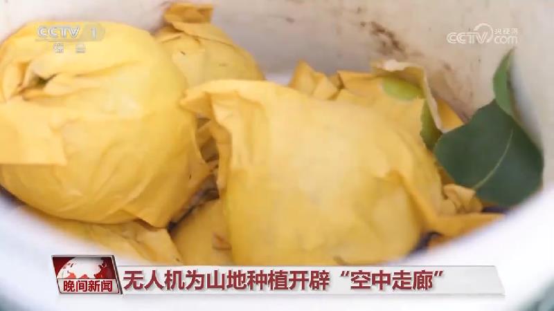 [視頻]科技賦能好“豐”景_2025-09-07_22_18_18.jpg